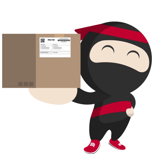 an image showing Ryo holding a parcel for delivery by Ninja Van